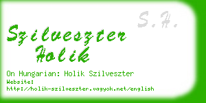 szilveszter holik business card